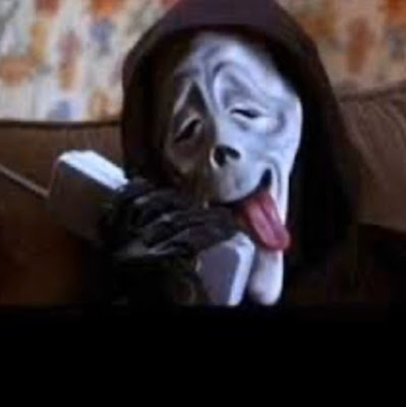 Meet your Posher, Pedro - Picture 1 of 1